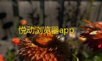 悦动浏览器app