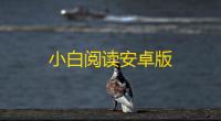 小白阅读安卓版